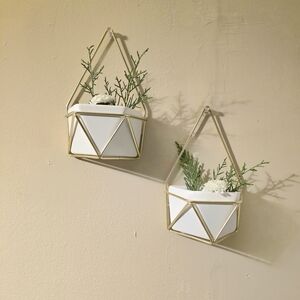 Geometric Wall Planters
